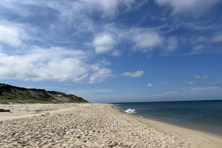 Ocean and dunes