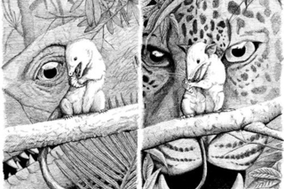 hanson_mammal_illustration