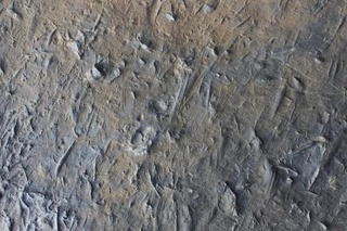 sea_sediment
